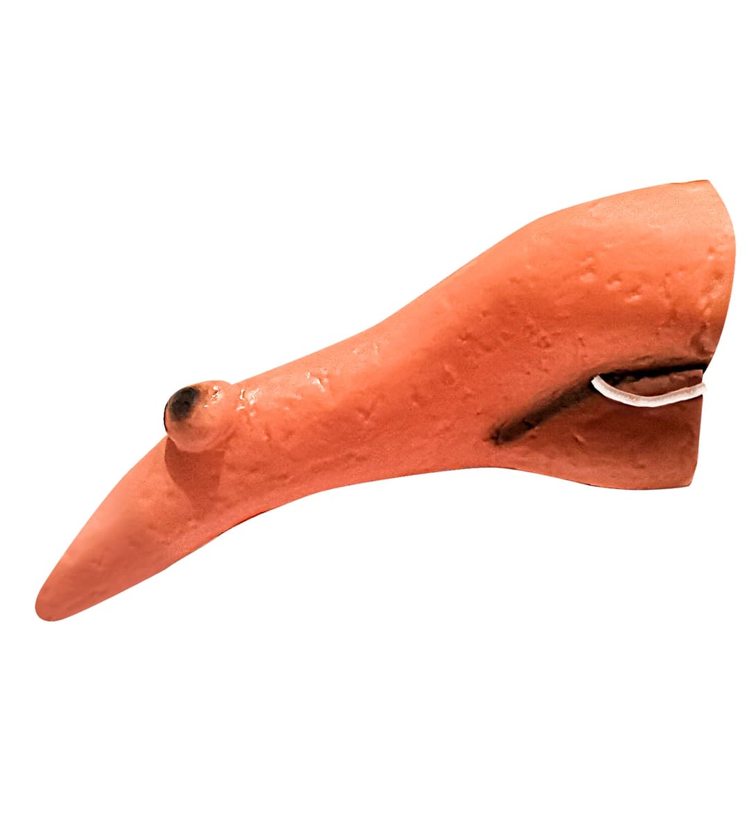 Boszorkány orr